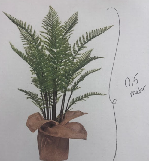 <ul><li><p><strong>Diploid </strong></p></li><li><p><strong>Sporophyte</strong></p></li><li><p>The full fern with fronds, stems, roots</p></li><li><p>Dominant, long‑lived generation</p></li><li><p>Has<strong> true vascular tissue</strong></p></li></ul><p></p>