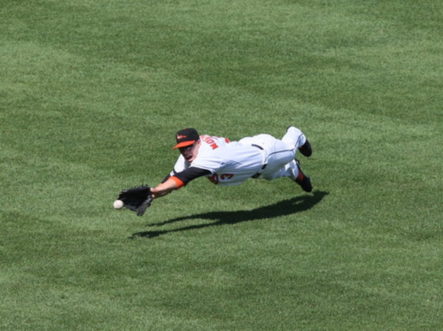 <p>fielder/outfielder</p>