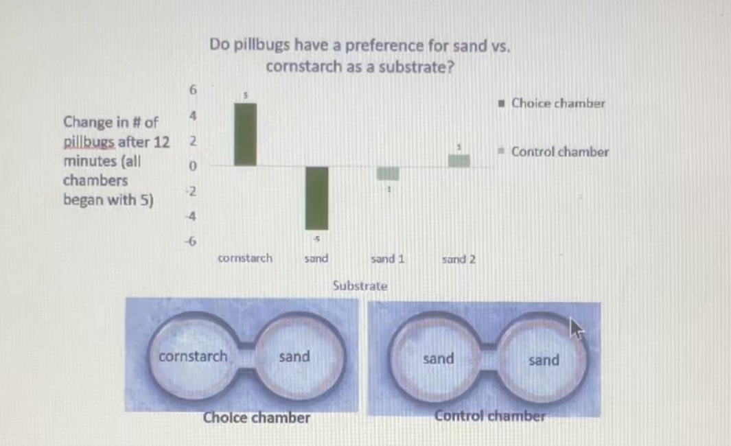 <p>What was the dependent variable in this expenment?</p>