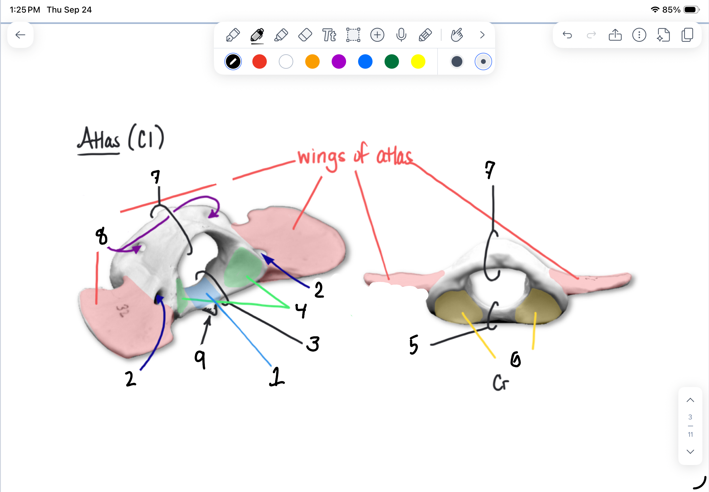 <p>1</p>