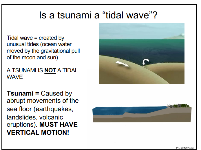 <p>-no, a tsunami is not a tidal wave</p><p>-tsunami = caused by abrupt movements of the sea floor (earthquakes, landslides, volcanic eruptions). must have vertical movement!</p><p>-huge wavelength (>100km) = always a shallow water wave and travel extremely fast (~200 m/s or ~472 mph)</p><p>-water recedes right before a tsunami hits and are unpredictable for the most part</p>