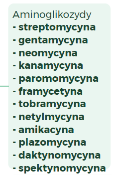<p><strong>streptomycyna</strong></p><p><strong>gentamycyna</strong></p><p><strong>neomycyna</strong></p><p><strong>kanamycyna</strong></p><p><strong>paromycyna</strong></p><p>framycetyna</p><p><strong>tobramycyna</strong></p><p>netylmycyna</p><p><strong>amikacyna</strong></p><p>plazomycyna</p><p><strong>daktynomycyna</strong></p><p><strong>spektynomycyna </strong></p>