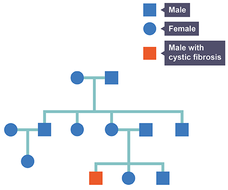 <p>used to show inheritance of genetic condition in family</p>