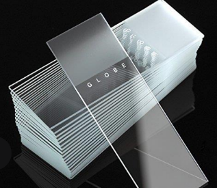 <p>Glass slide</p>