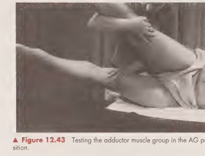 <p>Subject is in the sidelying position with the nontest limb supported in 25 degrees of abduction.</p>