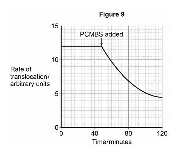 <p>PCMBS is a substance that inhibits the uptake of sucrose by plant cells. Scientists investigated the effect of PCMBS on the rate of translocation in sugar beet. <strong>Figure 9 </strong>shows their results.<strong> </strong></p><p>During their experiment, the scientists ensured that the rate of photosynthesis of their plants remained constant. Explain why this was important. (2) </p>