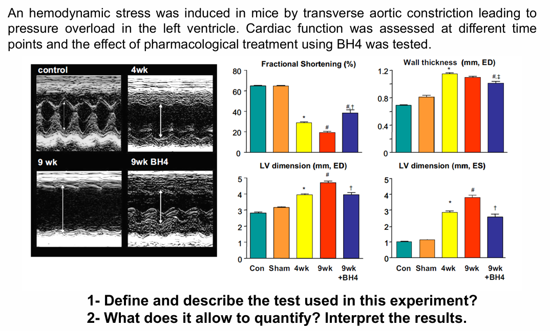 <p>Functional exploration of cardiac function</p>
