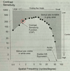 <p>Look at the circle point located on the human contrast sensitivity function. What was the grating contrast threshold measured as a percentage?</p>