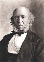 <p>An application of the concept of "survival of the fittest" to human history in the nineteenth century. (NOT from Darwin - its from Herbert Spencer).</p>