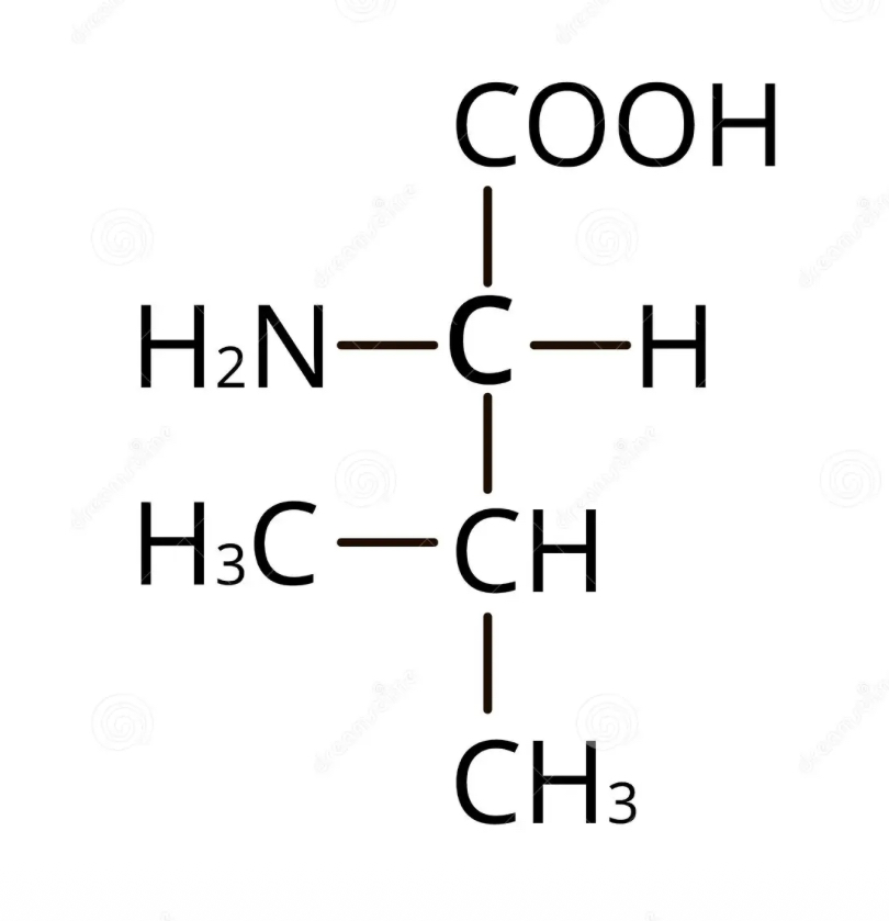 <p>what amino acid</p>