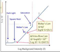 <p>Weber's Law Region 5: What is the slope of this region?</p>