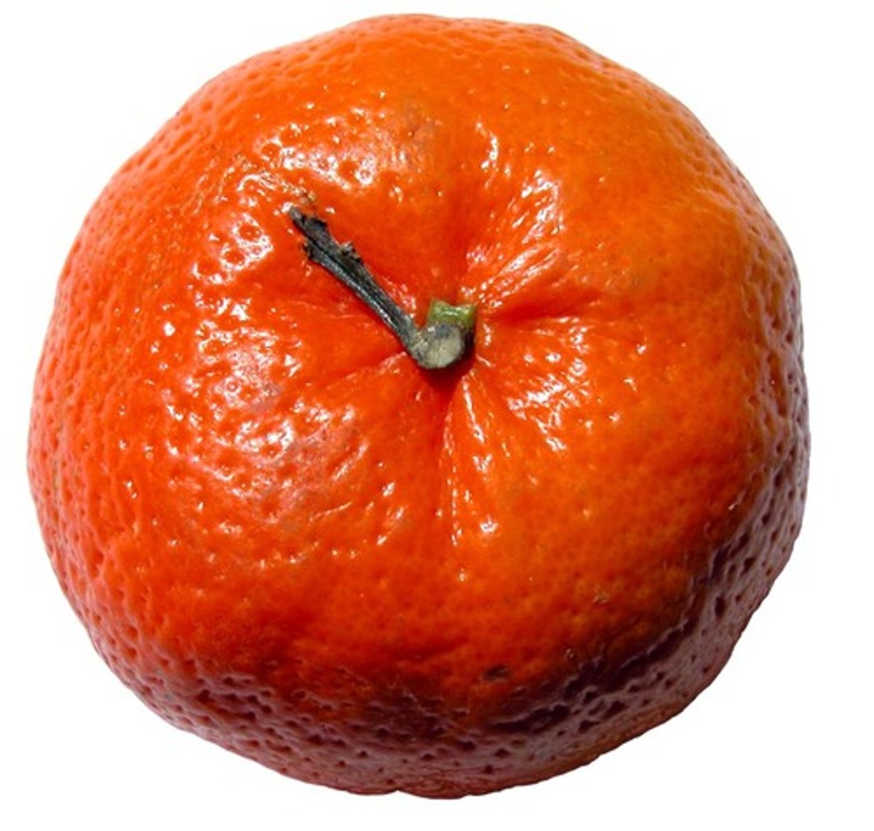 <p>une mandarine</p>