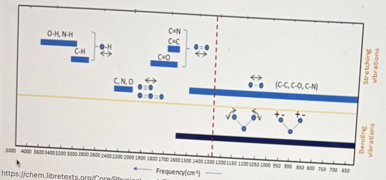 <ol><li><p>﻿﻿﻿Functional Region - Is generally more informative about the structure of the compound (functional groups). This region is ~4000-1400 cm-1</p></li></ol><p></p>