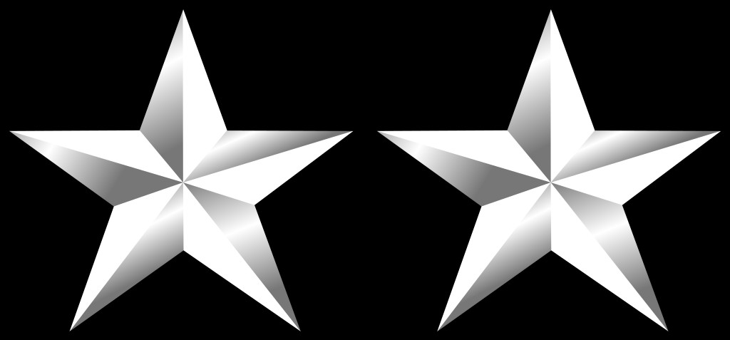 <p>Two silver five pointed stars</p>