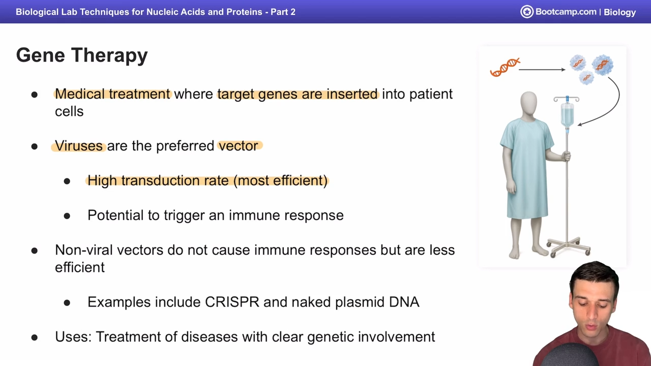 <p>they have a high transduction rate</p>