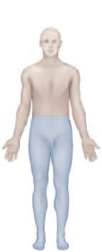 <p>Paralysis of the legs and lower part of the body.</p>