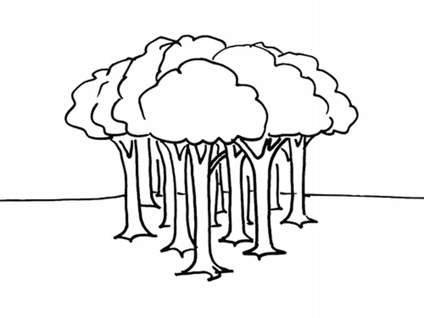 <p>nomen:</p><p>Multae arbores</p><p>(forest, wood)</p>