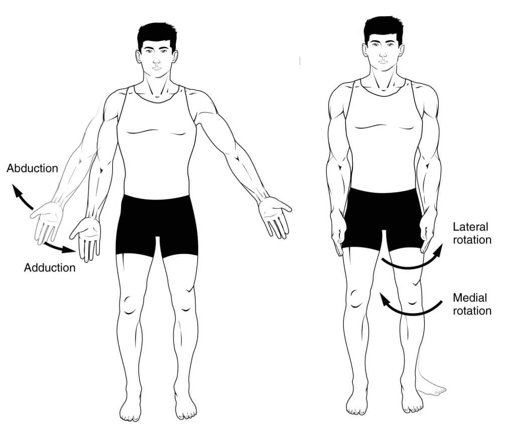 <p>movement away from the midline of the body</p>