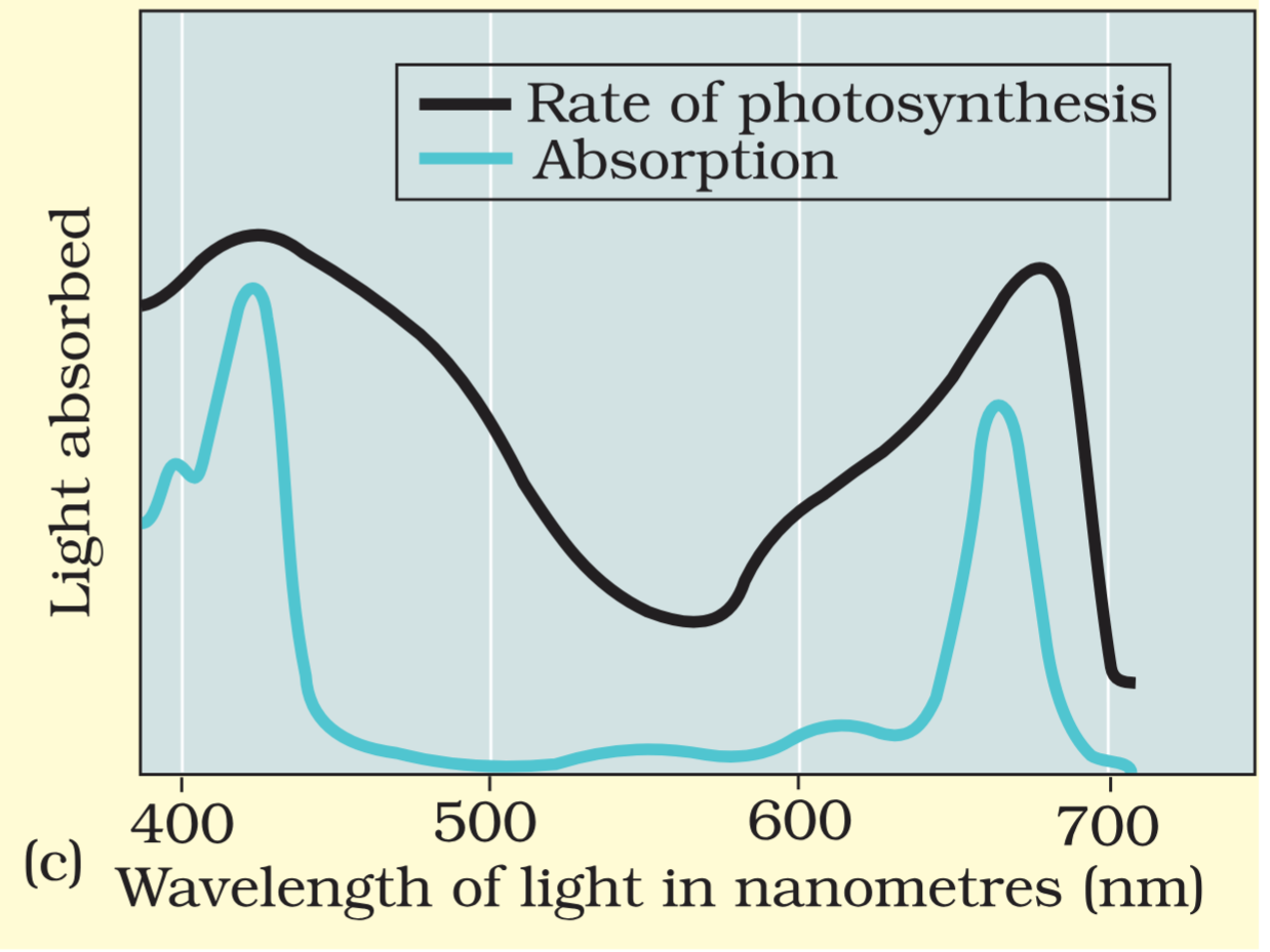 <p>almost the same</p>