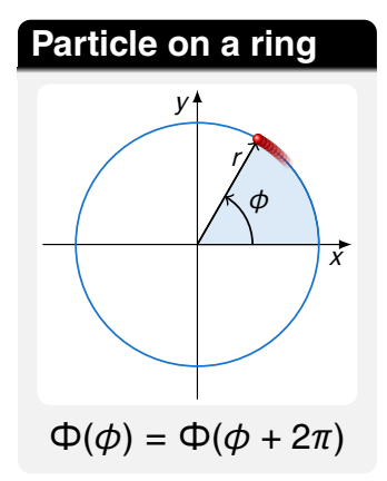<p>no walls so particle moves freely around the circle</p><p>there is a constraint - after going all the way around, it must be back where it started </p><p>restarts the cycle - angle 𝜙 and angle 𝜙+2π describe the same point </p>