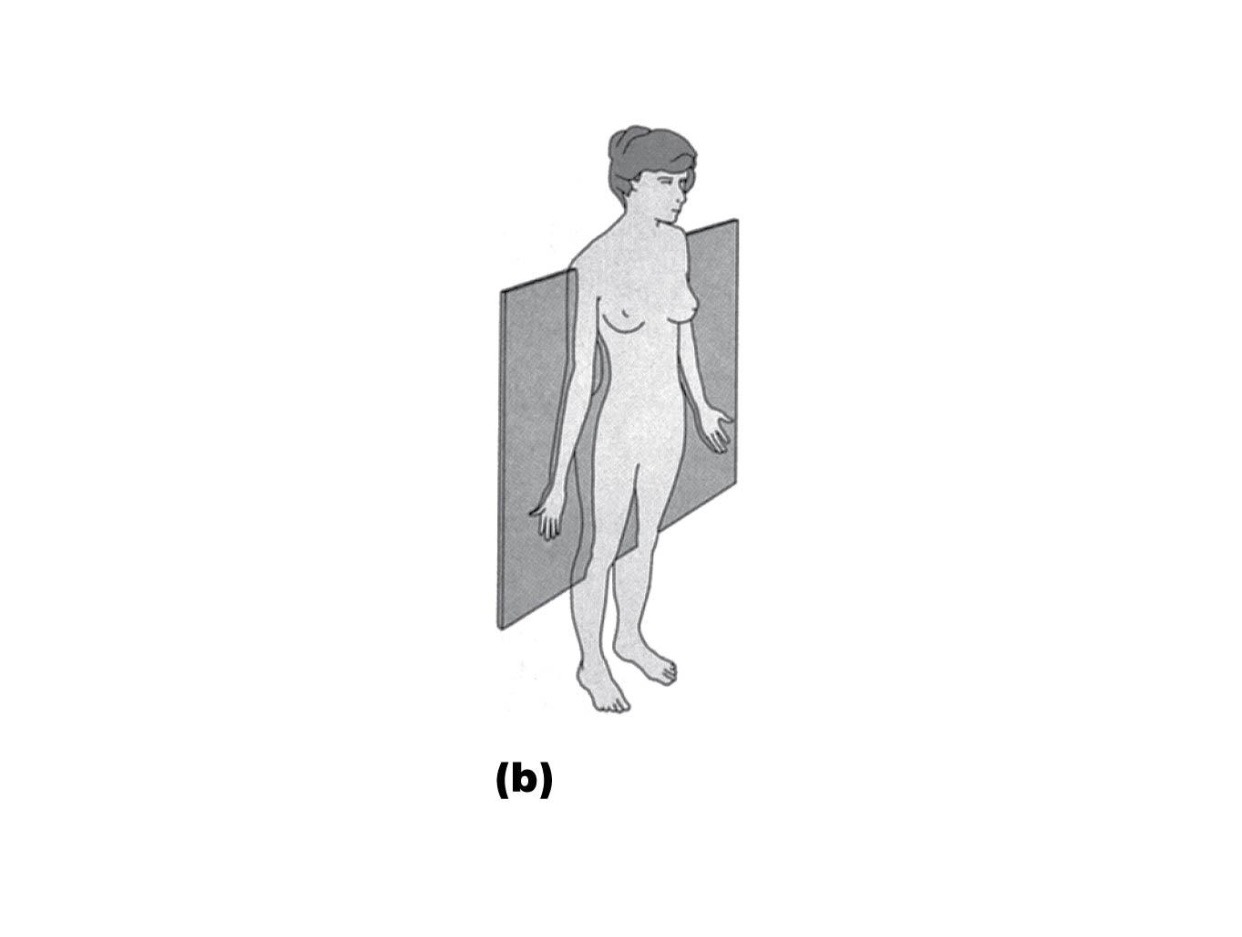 term image