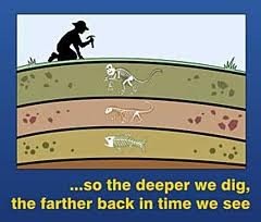 <p>Gives an idea of where something falls in the general timeline of events based upon SUPERPOSITION.</p>