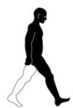 <p>what phase and step number is this?</p>