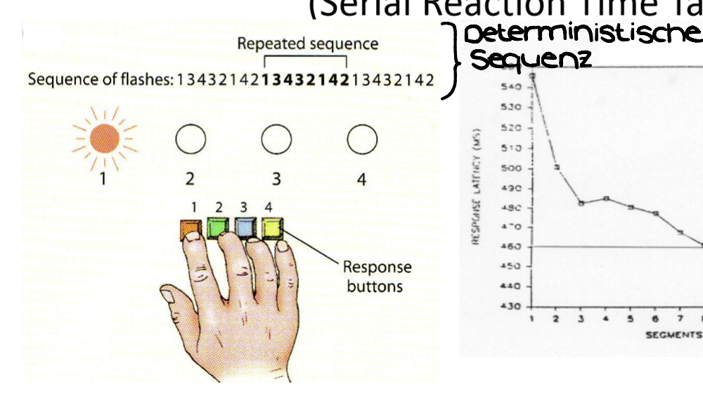 <ul><li><p><span style="background-color: rgb(178, 162, 199);"><strong>Serielle Reaktionszeitaufgabe (Serial Reaction Time Tas, SRTT)</strong></span></p></li><li><p><span><em>Siehe Abbildung</em></span></p></li></ul><p></p>