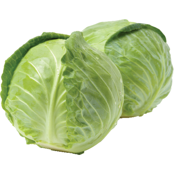 <p>Cabbage, Green Organic</p>