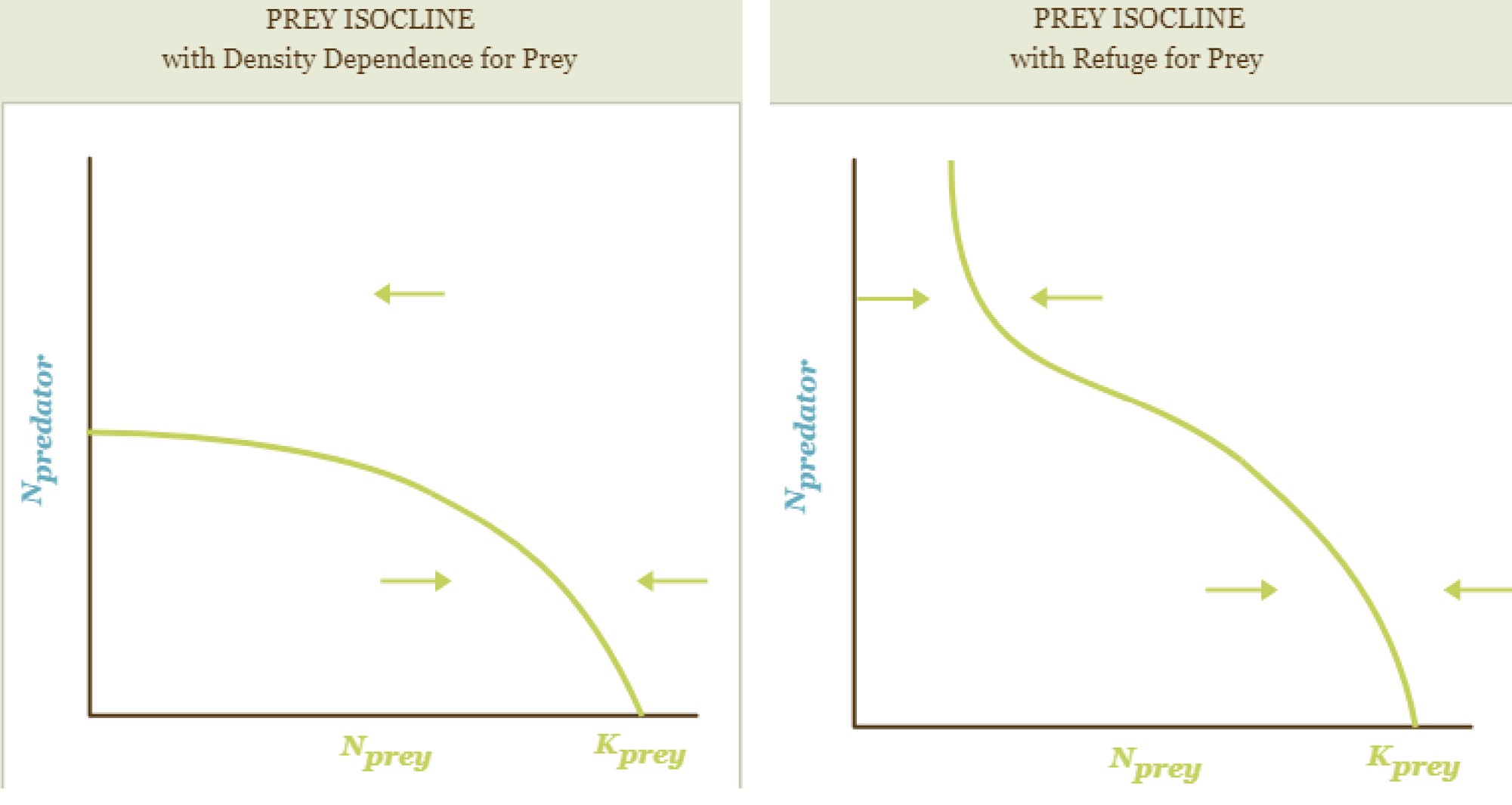 <p>prey isocline with density dependence and refuge</p>