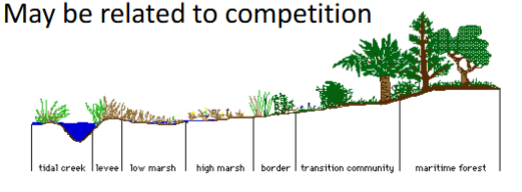 <p><span><strong><u>Zonation</u></strong></span></p><ul><li><p></p></li><li><p></p></li></ul><p></p>