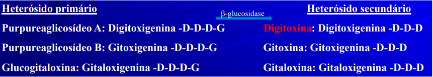 <ul><li><p>digitoxigenina</p></li><li><p>das folhas da dedaleira</p></li></ul><p></p>