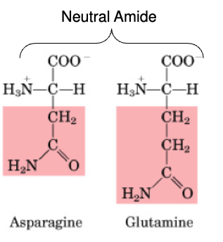 <ul><li><p>non-essential</p></li></ul><p></p>
