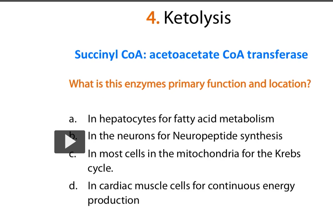 <p><u>question</u></p><p>the correct answer is C) in most cells in the mitochondria for the Kreb’s cycle </p><p>-this is a Kreb’s cycle enzyme </p>