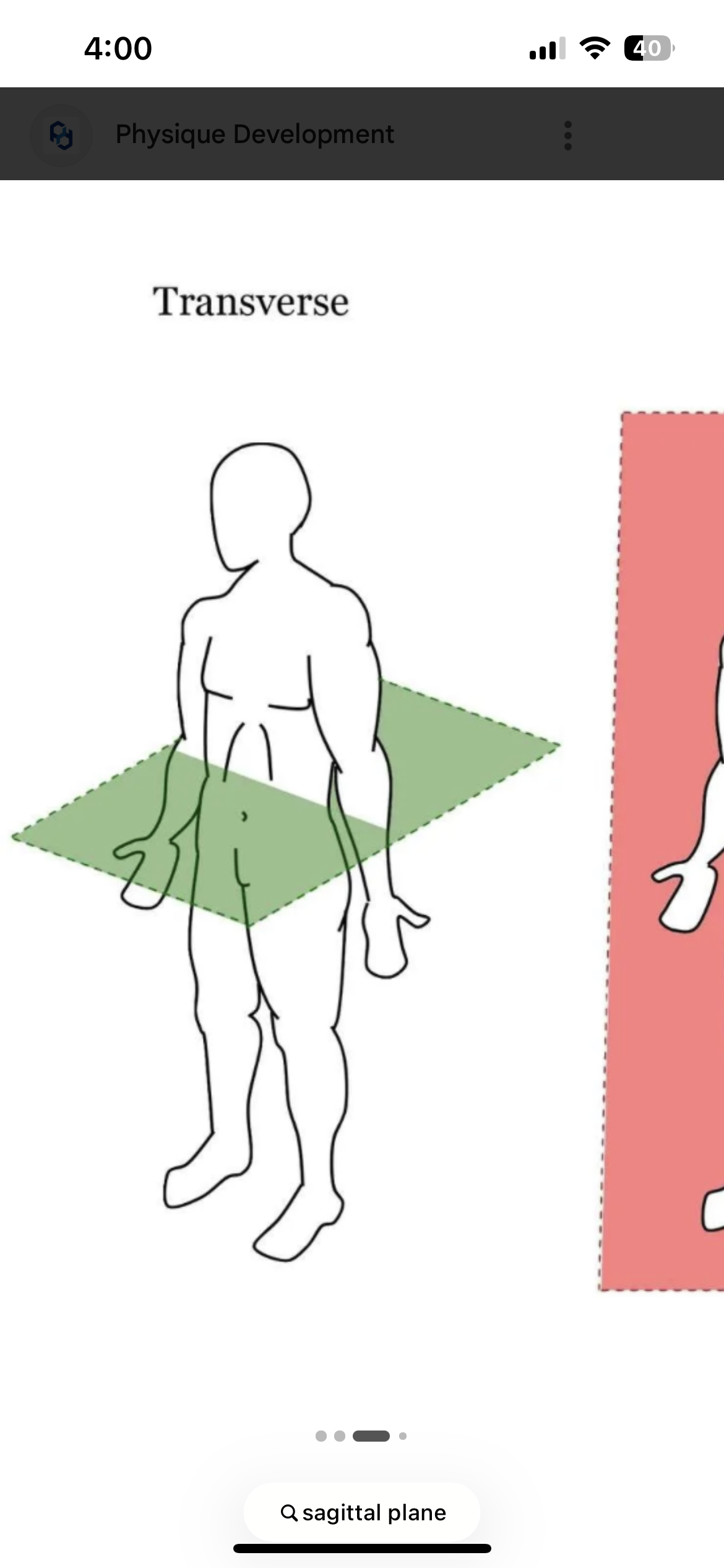 <p>Divides body into superior and inferior halves (top of body and bottom of body)</p>