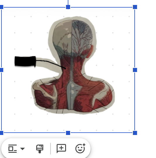term image