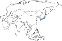 <p>East Asia</p>