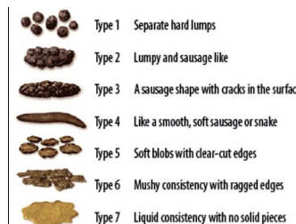 <p>1: hard balls</p><p>2: severe diarrhea </p>
