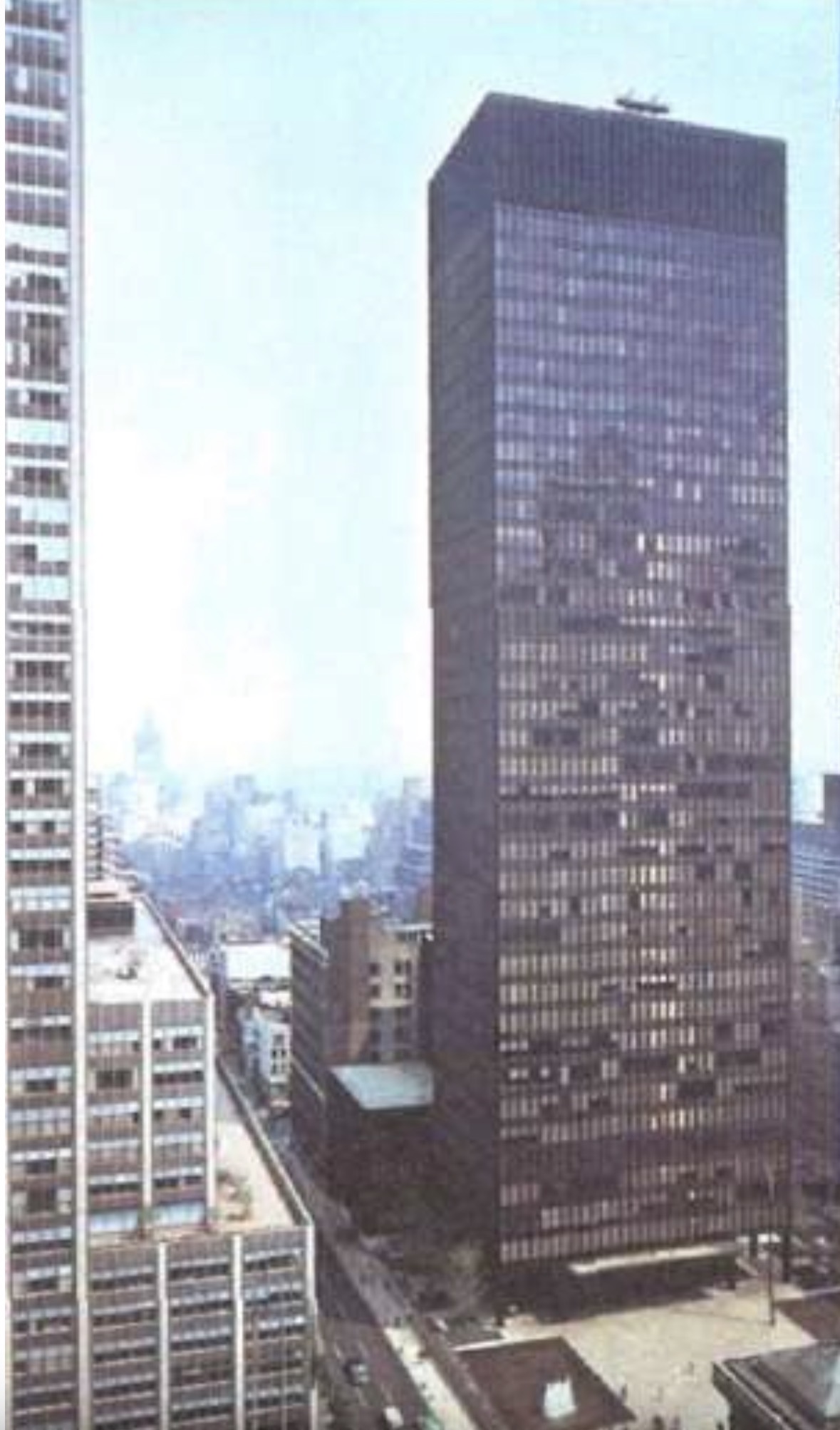 term image