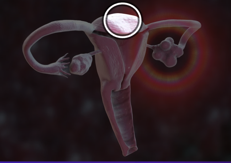 <p>what structure us this </p>