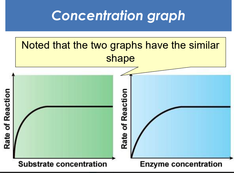 <p>whats the level off called</p>