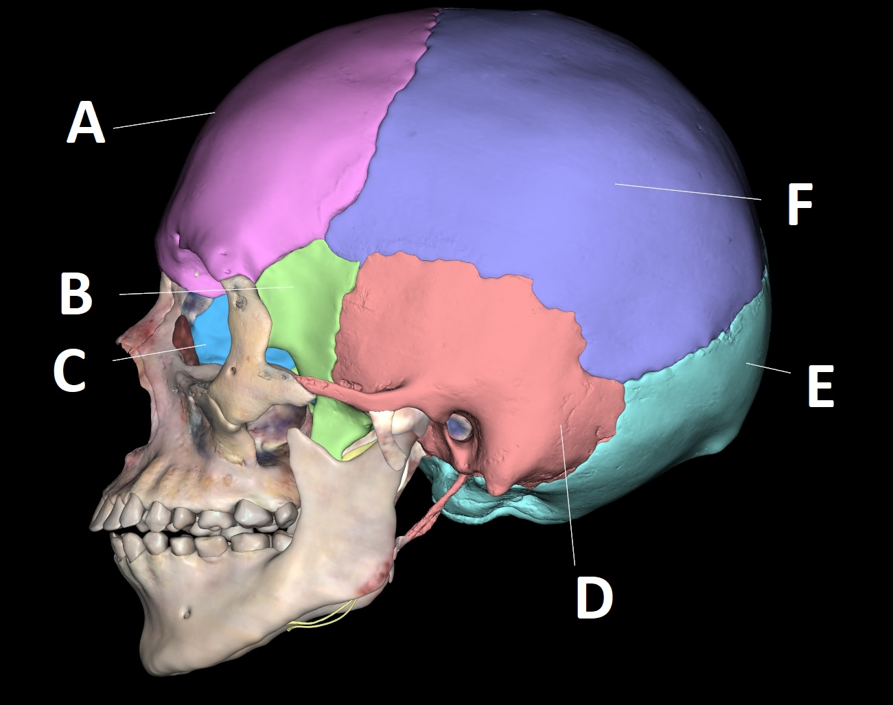 <p>A</p>