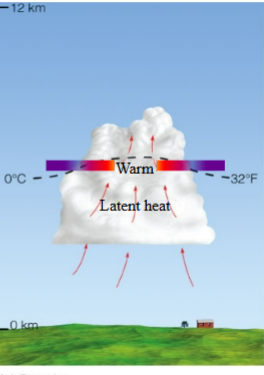 <p>what stage of the air-mass / single-cell thunderstorm is this?</p>