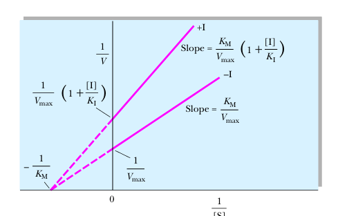 <p>noncompetitive inhibition</p>