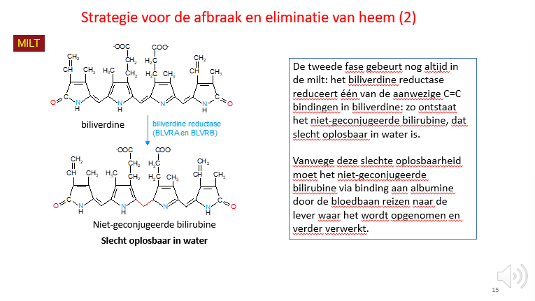 <p><span>Onmiddellijk aansluitend op de omzetting van heem naar biliverdine zien we ook nog in de milt een omzetting van biliverdine naar niet-geconjugeerd bilirubine, <strong>wat heel slecht wateroplosbaar is</strong>.</span></p><p style="text-align: left;"></p><p style="text-align: left;"><span>Het biliverdine reductase is niet rate-limiting, dus er is overschot aan capaciteit.</span></p><p style="text-align: left;"><span>Dus bij de omzetting van heem naar biliverdine en dan naar bilirubine zien we normaal gezien geen problemen.</span></p><p style="text-align: left;"><span>Het is eens dat het niet-wateroplosbaar bilirubine geproduceerd is, moet het via detoxificatie in de lever (via conjugatie) verder wateroplosbaar gemaakt worden zodat het ons systeem kan verlaten, maar als we problemen zien is het NA deze enzymatische stap (de verwerking van het niet geconjugeerde bilirubine OF bij de verwijdering van het geconjugeerde bilirubine dat wel wateroplosbaar is).</span></p><p style="text-align: left;"></p><p style="text-align: left;"><span>Omdat het bilirubine in deze toestand (op de slide) niet goed wateroplosbaar is, moet het in het bloed getransporteerd worden adhv albumine.</span></p><p style="text-align: left;"><span>Zo reist het dan van de milt via de vena porta naar de lever en kan er dan opgenomen worden uit de bloedbaan om er dan verder gedetoxifieerd te worden.</span></p>