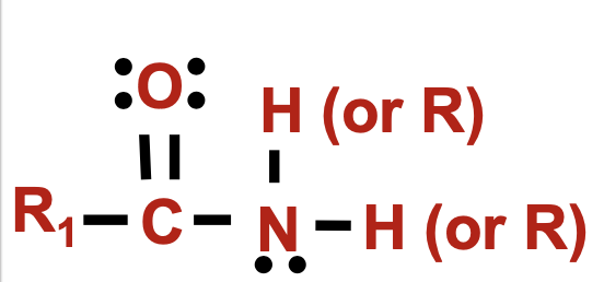 <p>N bonded to C</p>