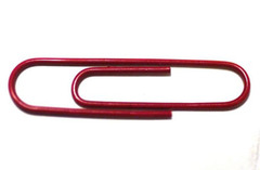 <p>a paperclip</p>