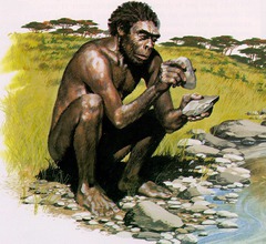 <p>An early species of hominids known as 'handy man' due to their use of tools.</p>