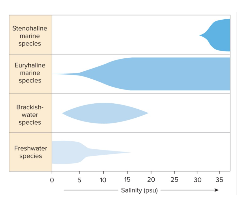 <p>More tolerance, larger range</p>