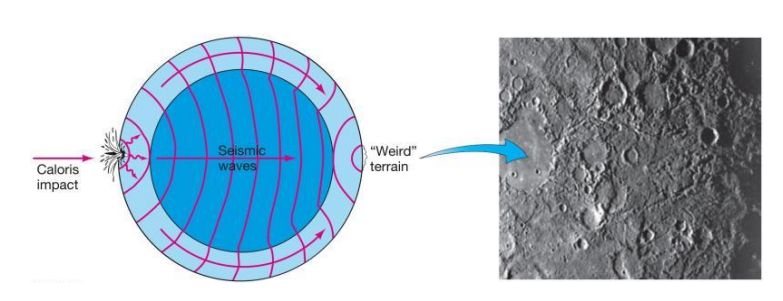 <ul><li><p>The impact that created the Caloris Basin sent seismic waves through Mercury, which focused on the <strong>opposite side</strong> of the planet and disrupted the crust, forming the weird terrain.</p></li></ul><p></p>
